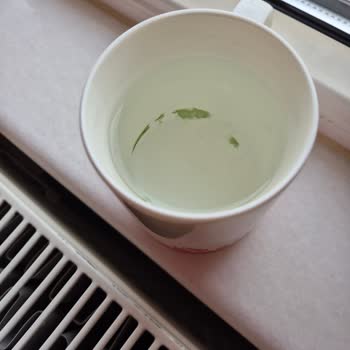 Seğmenler Suyunun Yeşillenmesi Ve Sağlık Endişesi