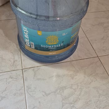 Seğmenler Suyunun Yeşillenmesi Ve Sağlık Endişesi