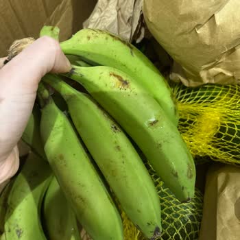 Teslim Edilen Ürünlerin Hepsi Çürük Ve Sert, İletişim Kurulamıyor