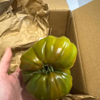 Teslim Edilen Ürünlerin Hepsi Çürük Ve Sert, İletişim Kurulamıyor