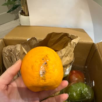 Teslim Edilen Ürünlerin Hepsi Çürük Ve Sert, İletişim Kurulamıyor