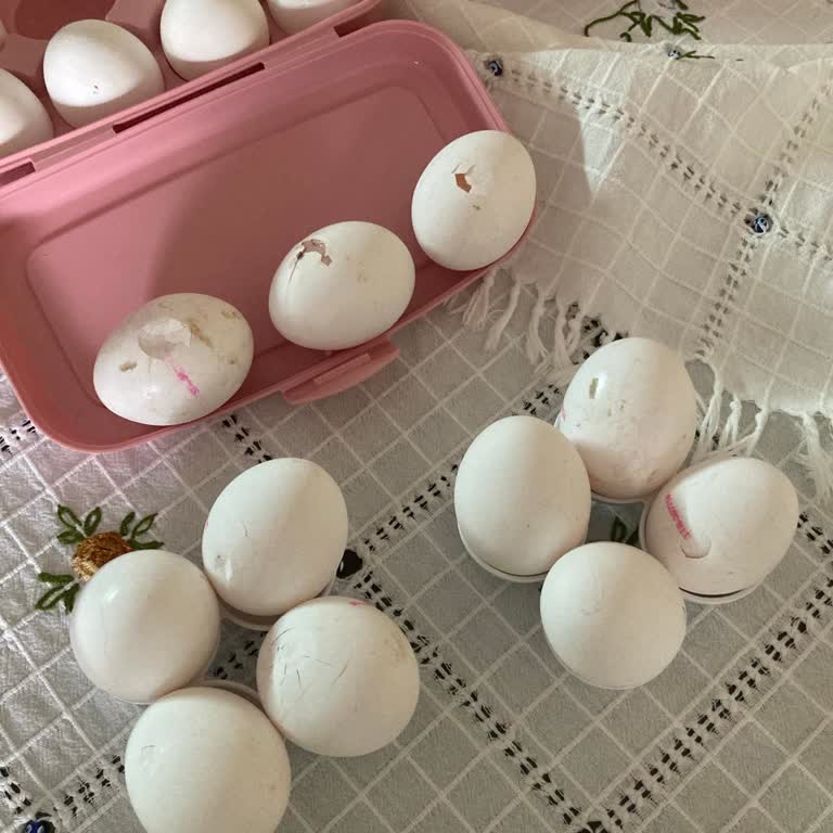 Türe Gıda XL Yumurtalarında Kırık Ve Çatlak Ürün Sorunu Ve İade Talebi