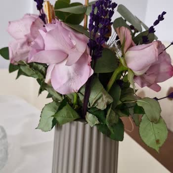 Lila Gül Buketi Solmuş, Değişim Veya İade Talep Ediyorum