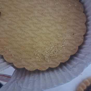 Eti Cin Bisküvi İçinde Örümcek Ağı: Hijyen Ve Güven Sorunu