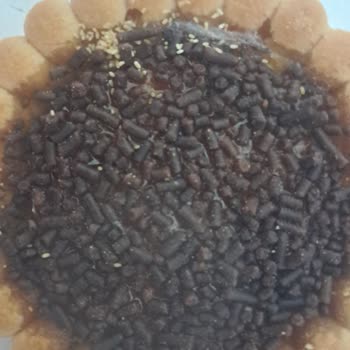 Eti Cin Bisküvi İçinde Örümcek Ağı: Hijyen Ve Güven Sorunu