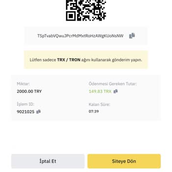 150 Dolar TRC20 Transferi Hesaba Yansımıyor, Destek Yanıtsız