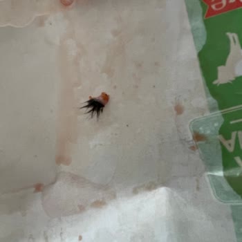 BİM Kıymasındaki Deri Ve Kıllar İftar Hazırlığını Mahvetti