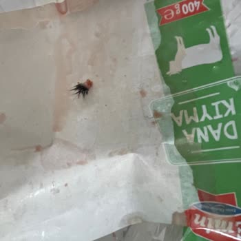 BİM Kıymasındaki Deri Ve Kıllar İftar Hazırlığını Mahvetti