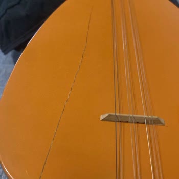 Kırılan Bağlama Ve Sorumluluk Reddi: 3000 TL Zarar