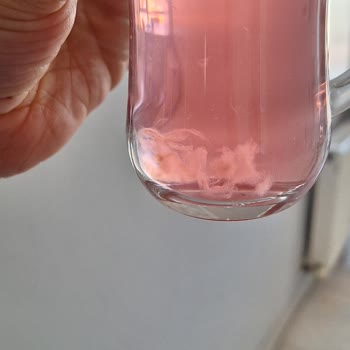 Dimes Çilek Karpuz Suyunda Yabancı Madde Bulundu