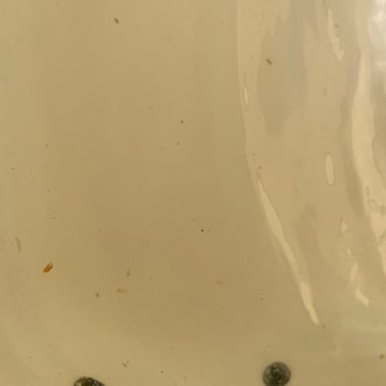 Hijyenik Olmayan Jakuzide Koku Ve Çözüm Eksikliği, Şüpheli IBAN Değişikliği