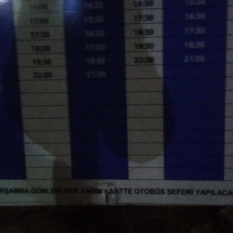 Karabiga-Biga Otobüs Seferleri Duyurulan Yarım Saatlik Sıklığı Tutmuyor