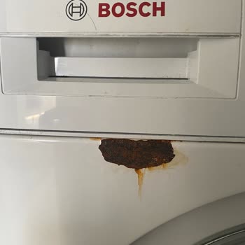 Bosch Çamaşır Makinesinde Erken Paslanma Ve Ücretsiz Onarım Talebi