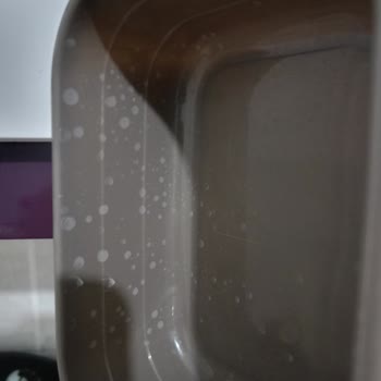 Bosch Bulaşık Makinesi Yıkama Sorunu Ve Değişim Talebi