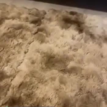 Decoser Halı Tüy Döküyor!