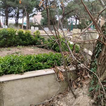 Yeni Mezarlık Yolumuzu Kapattı, Babamın Mezar Taşı Kırıldı