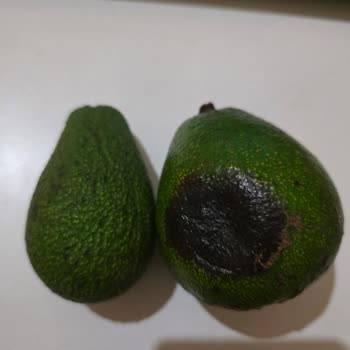 Teslim Edilmeyen Ürün Ve Çürük Avokadolar İçin İade Talebi