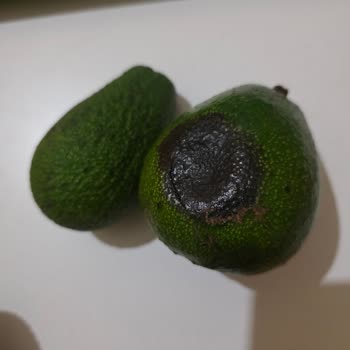 Teslim Edilmeyen Ürün Ve Çürük Avokadolar İçin İade Talebi