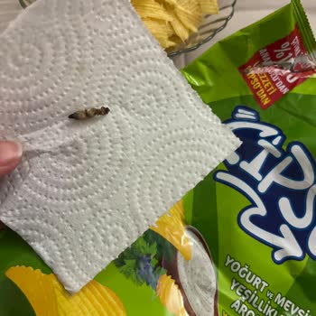 Gıda Güvesi Bulunan Cipso Çipsi İçin Acil Üretim İncelemesi Talebi