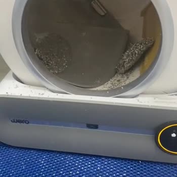 Wero Tech Akıllı Kedi Tuvaletinde Membran Yırtılması, Garanti Dışı Onarım Ve İletişimsiz Servis