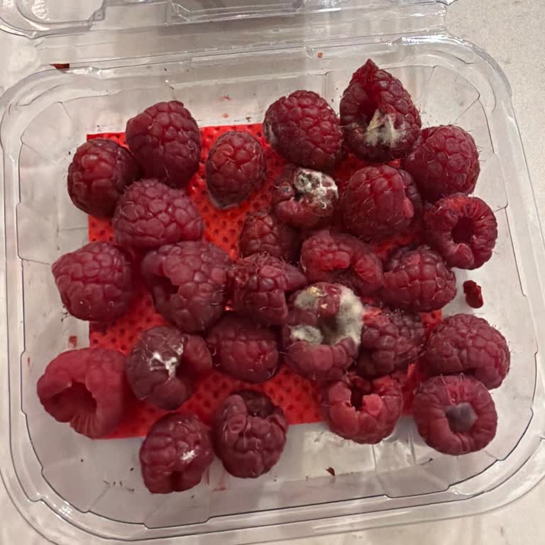 Çürük Meyve Ürünü Ve Müşteri Hizmetlerinden Cevapsız Geri Dönüş