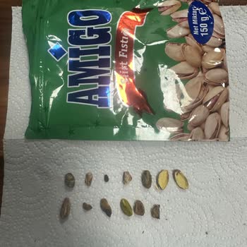 Satın Alınan Amigo Siirt Fıstığının Bayat Ve Çürük Olması Nedeniyle İade Talebi