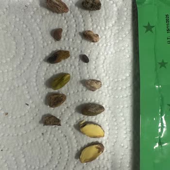 Satın Alınan Amigo Siirt Fıstığının Bayat Ve Çürük Olması Nedeniyle İade Talebi