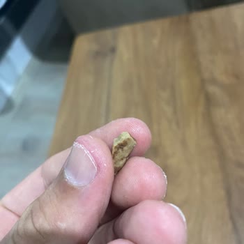 Kerebiçci Oğuz Kerebiçin İçinden Taş Çıktığını Fark Ettim