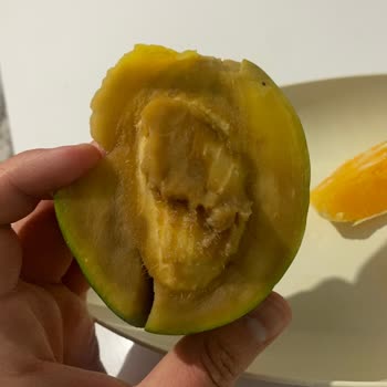 Bozulmuş Mango İçin 60 TL Ödeme Ve Açıklama Talebi