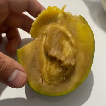 Bozulmuş Mango İçin 60 TL Ödeme Ve Açıklama Talebi