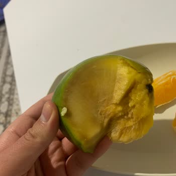 Bozulmuş Mango İçin 60 TL Ödeme Ve Açıklama Talebi