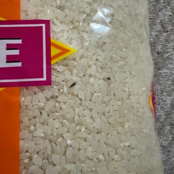 BİM'den Aldığım Pirinçte Böcek