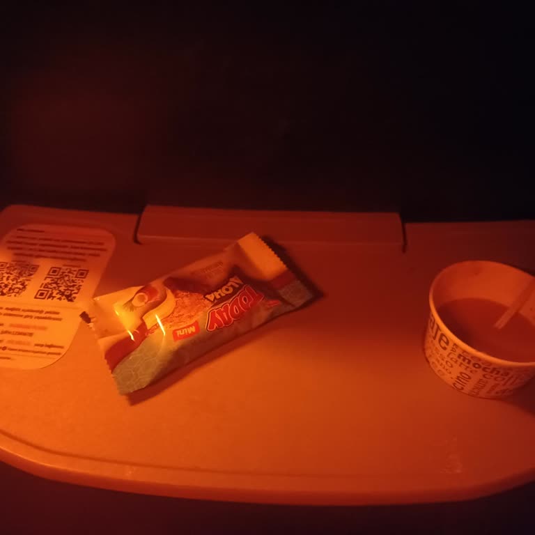 Efetur Otobüsünde Bilgilendirme Yapılmadı Ve Muavinin Saygısız Tavrı