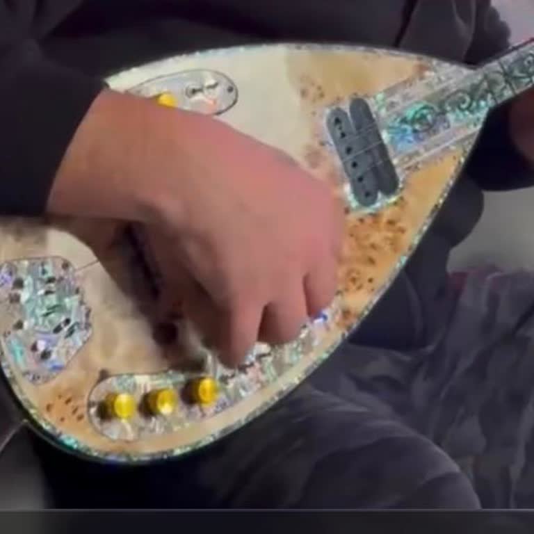 50.000 TL Bağlama İadesi İçin 45 Günlük Gecikme Ve Açıklama Talebi