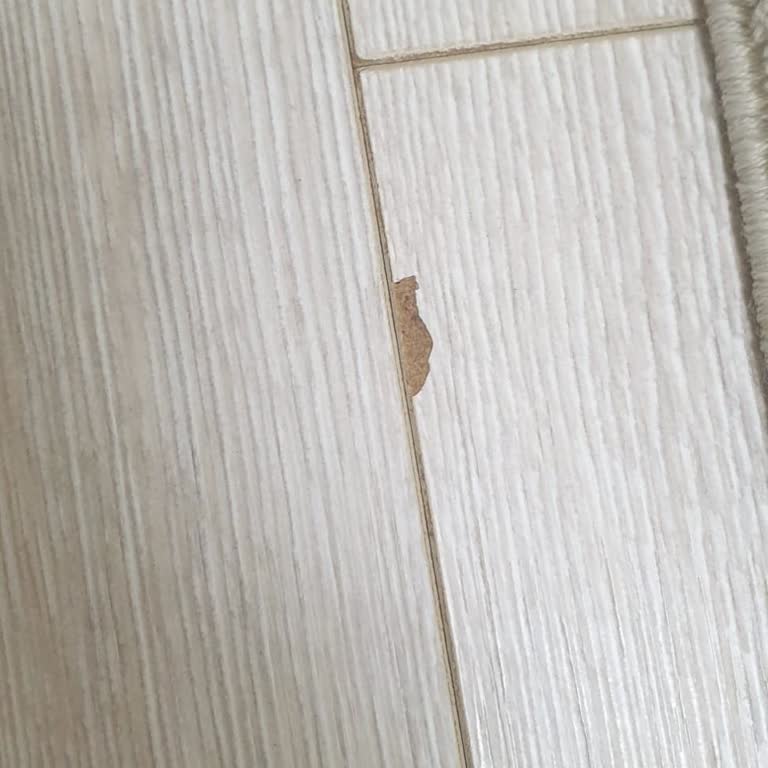 Vario Laminat Ve Kapılar Dayanıksız, Satıcıdan Çözüm Beklenmiyor