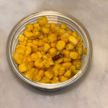 Tukaş Mısır Konservesinde Böcek Keşfi Ve Şikayetimize Cevap Bekleniyor