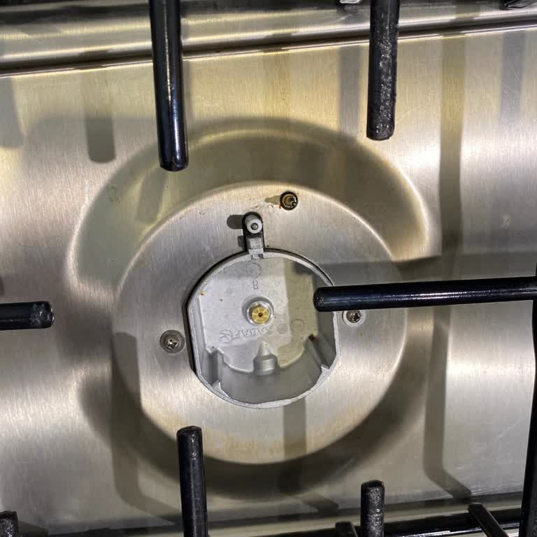 Samsung Ocağın Büyük Gözünün Yanması Ve Saçta Renk Değişikliği