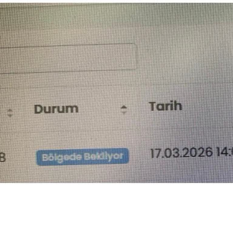 Zeyilname Onayının Gecikmesi Aracımın Sigorta İşlemlerini Riske Attı