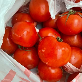 Bozuk Domates Teslimatı Ve İade Yanıtı Gelmedi