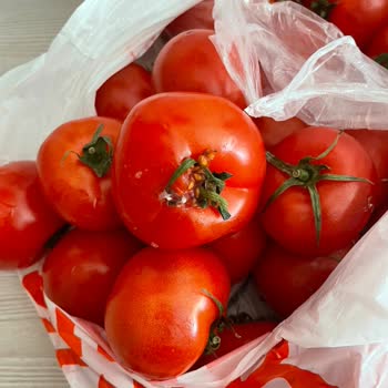 Bozuk Domates Teslimatı Ve İade Yanıtı Gelmedi