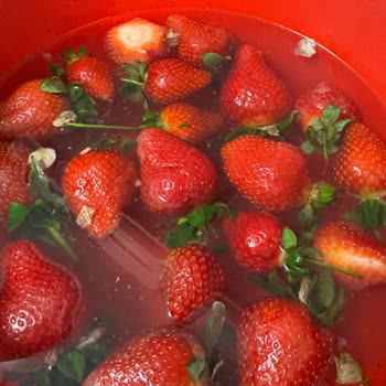 Çileklerdeki Bozukluk Ve İade Talebi