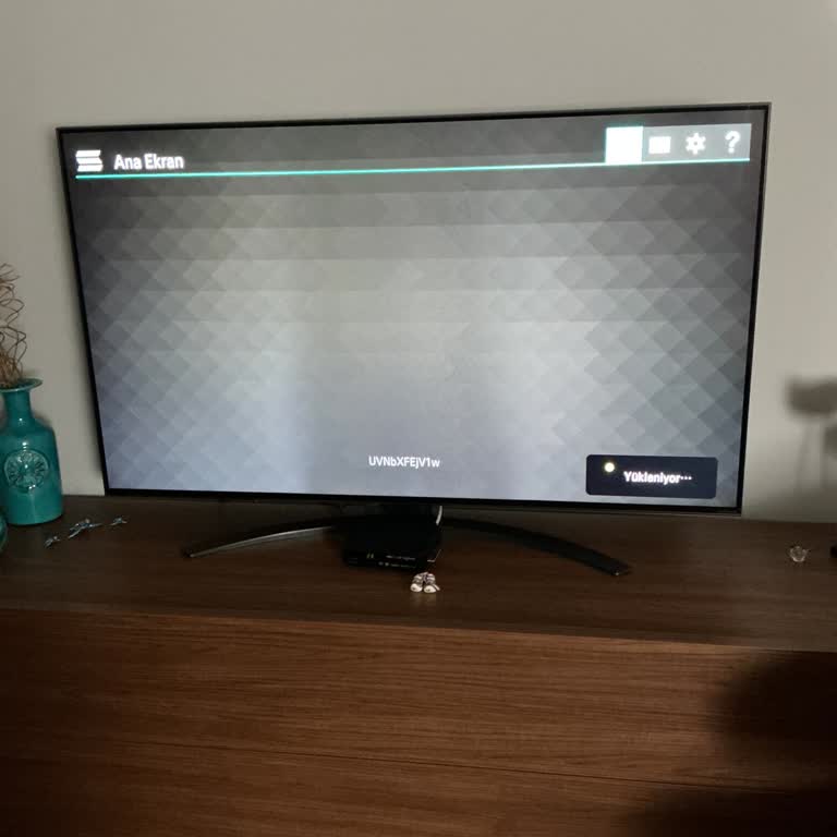 LG Televizyonda Vizyon IP TV Uygulaması Açılmıyor