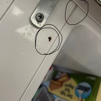 Vestel Buzdolabının Kasa Çürümesi Çözülmedi Ürün Değişimi Talebi