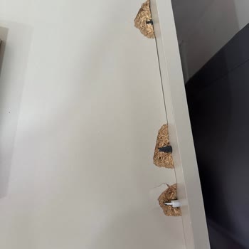 Ergül Mobilya’da Regnum Yatak Odası Takımının Sürekli Parça Arızaları Ve Ücretsiz Onarım Talebi