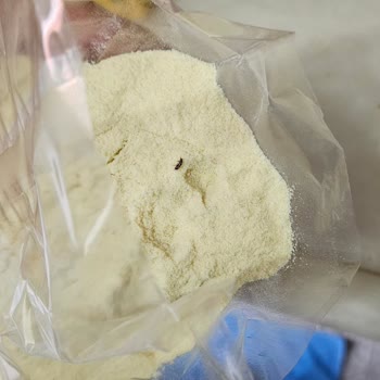 Wefood Organik Bebek İrmiğinde Böcek Tespiti Ve Geri Ödeme Talebi