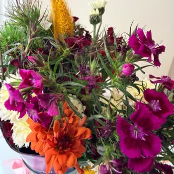 Teslimat Gecikmesi Ve Yanlış Ürünle Sürpriz Bozuldu