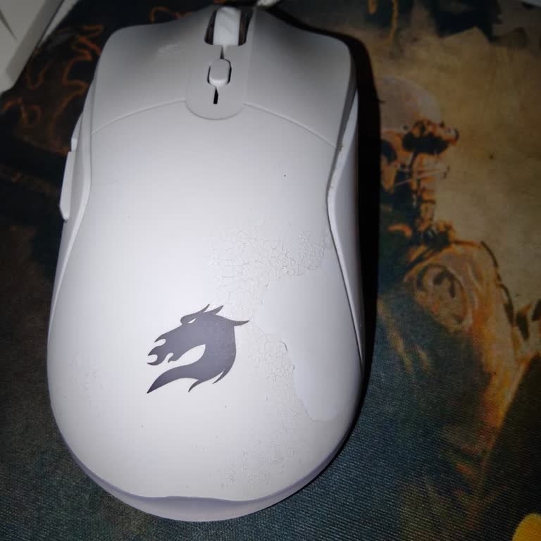 Kısa Sürede Kabarma Ve Soyulma Yaşayan Mouse İçin Garanti Değişimi Talebi