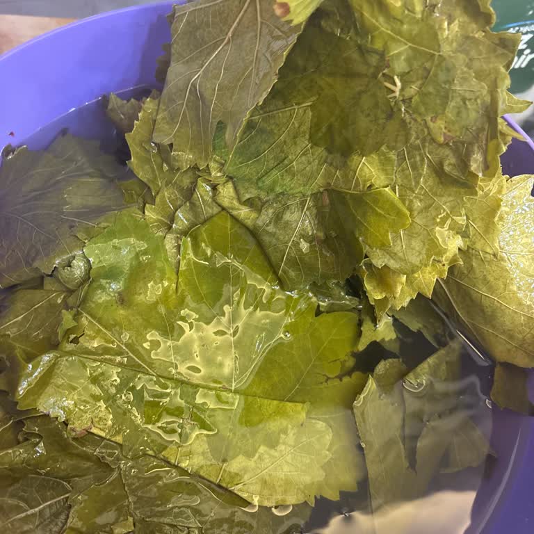 Bozuk Ve Küflü Sarmaşık Yaprakları İçin İade Talebi Ve Hesabımın Engellenmesi