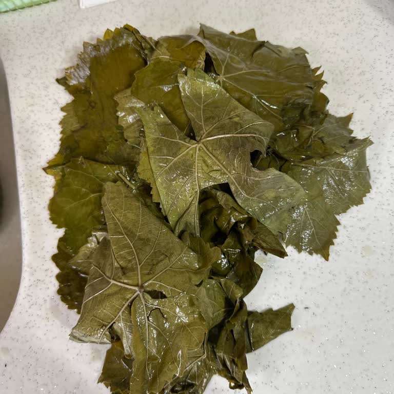 Instagram Satıcısından Yoğun Koku Ve Yırtık Yaprak, İade Talebi