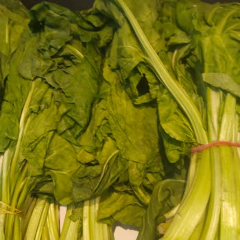 Bozulmuş Ürünler Ve Saygısız Personel: Hakmar Şubesi Şikayeti